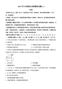 2025年山东省临沂市平邑县中考三模化学试题（中考模拟）