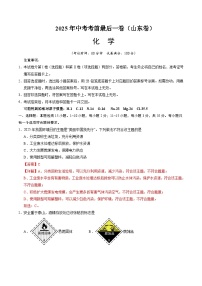 2025年中考考前押题最后一卷：化学（山东卷）（解析版）