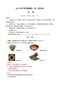 2025年中考考前押题最后一卷：化学（武汉卷）（解析版）