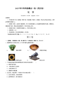 2025年中考考前押题最后一卷：化学（武汉卷）（考试版）