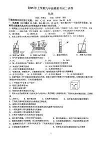 2025年湖南省长沙市南雅中学中考第二次模拟考试化学试卷（中考模拟）