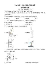 2024-2025年河北省石家庄外国语学校中考二模化学试卷（中考模拟）