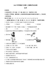 2025年河南省驻马店市中招第三次模拟考试化学试卷（中考模拟）