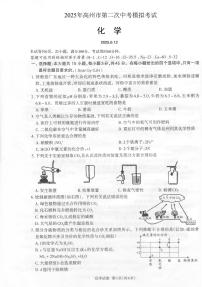 2025年广东省茂名市高州市中考二模化学试题（中考模拟）