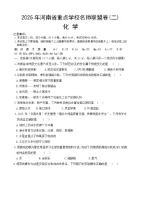 2025年河南省周口市沈丘县中英文学校、志远中学中考三模化学试题（中考模拟）