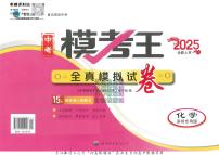 2025中考模考王-全真模拟试卷-化学