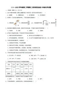 山东省乐陵市朱集镇中学2024-2025学年八年级下学期第二次月考化学试题