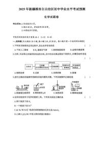 2025年新疆维吾尔自治区模拟预测化学试题（中考模拟）