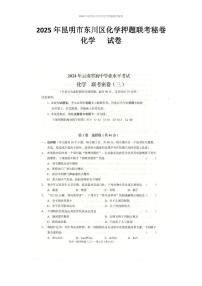 2025年云南省昆明市东川区中考三模化学试题（中考模拟）