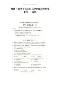 2025年云南省昆明市东川区中考三模化学试题（中考模拟）