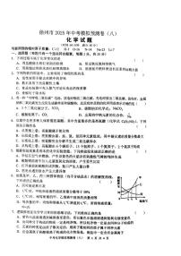 2025年江苏省徐州市沛县汉源中学联盟学区中考三模化学试题（中考模拟）