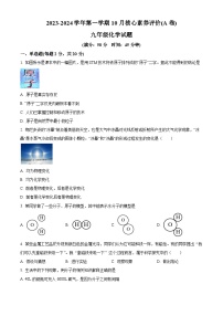 山东省枣庄市2023-2024学年九年级上学期10 月月考化学试题