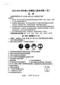 2025年广东省广州市外国语学校中考三模化学卷