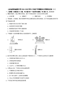 山东省青岛超银中学2024-2025学年八年级下学期期末化学模拟试卷（一）（含答案解析）