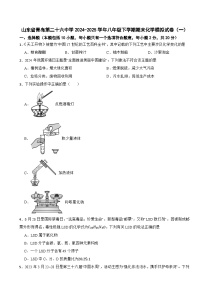 山东省青岛第二十六中学2024-2025学年八年级下学期期末化学模拟试卷（一）（含答案解析）
