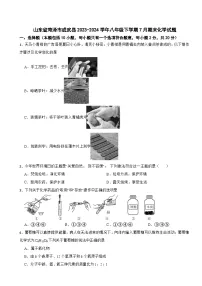 山东省青岛实验初级中学2024-2025学年八年级下学期期末化学模拟试卷（一）（含答案解析）