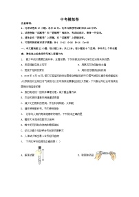 2025年安徽省合肥市中考模拟化学试卷（中考模拟）