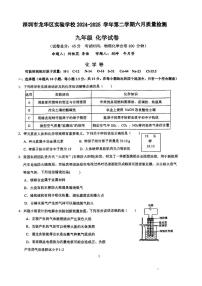 2025年广东省深圳市龙华区实验学校教育集团中考三模化学试卷（中考模拟）(001)