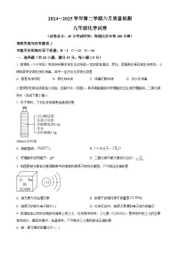 2025年广东省深圳市南山外国语集团中考第三次模拟考试化学试题（中考模拟）