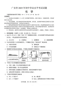 2025年四川省广安市中考化学真题含答案