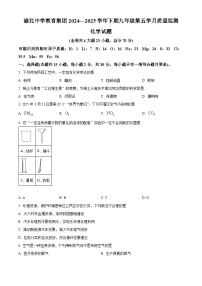 重庆市渝北中学教育集团2024-2025学年九年级下学期第四次月考化学试卷