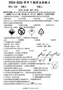 河南省实验中学2025学年中考四模 化学试题