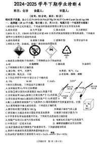 河南省实验中学2025学年中考四模 化学试题