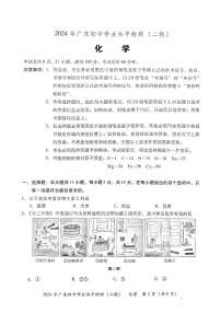 2024年广东省河源市中考二模化学试题