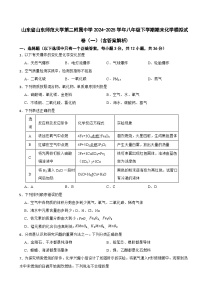 山东省山东师范大学第二附属中学2024-2025学年八年级下学期期末化学模拟试卷