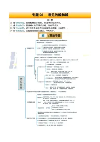 专题06 常见的酸和碱-2025年中考化学二轮复习试题及讲义（含答案）
