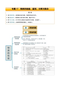 专题17 物质的检验、鉴别、分离与除杂-2025年中考化学二轮复习试题及讲义（含答案）