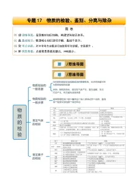 专题17 物质的检验、鉴别、分离与除杂-2025年中考化学二轮复习试题及讲义（含答案）