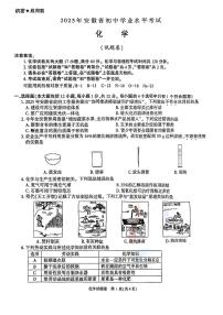 2025安徽省中考化学真题（中考模拟）