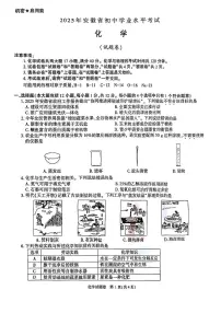 2025安徽省中考化学真题（中考模拟）