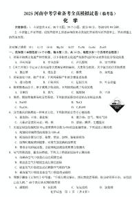 2025年河南省南阳市淅川县部分初中联考中考三模化学试题（中考模拟）