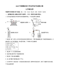 2025年湖南省张家界市桑植县中考三模化学试题（中考模拟）
