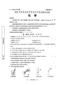 2025年陕西省咸阳市乾县薛录初中中考三模化学试题（中考模拟）