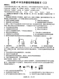 2025安徽中考【化学】合肥45中三模（试卷+答案）