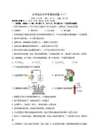2024年山东省潍坊市中考模拟化学试题（一）