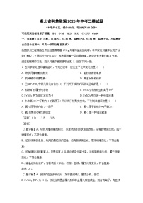 湖北省荆楚联盟2025年中考三模化学试卷（解析版）