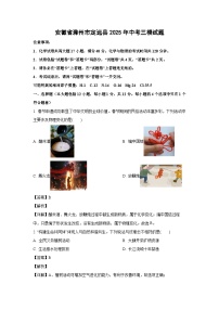 安徽省滁州市定远县2025年中考三模化学试卷（解析版）