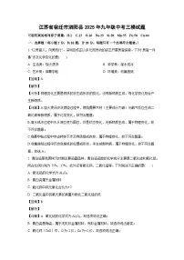 江苏省宿迁市泗阳县2025年九年级中考三模 化学试卷（解析版）