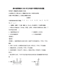 贵州省黔南州2025年九年级中考模拟考试化学试卷（解析版）
