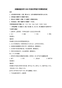 安徽省宿州市2025年部分学校中考模拟考试化学试卷（解析版）