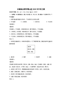 安徽省合肥市蜀山区2025年中考三模化学试卷（解析版）