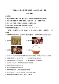 【9化一模】2024年安徽省马鞍山市第中学中考一模化学试卷