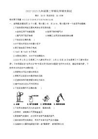 河南省南阳市唐河县2022-2023学年九年级下学期期末测试化学试卷