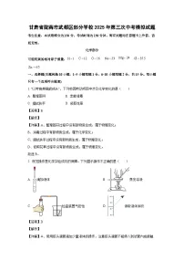 甘肃省陇南市武都区部分学校2025年第三次中考模拟化学试卷（解析版）