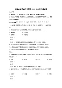 河南省驻马店市正阳县2025年中考三模化学试卷（解析版）