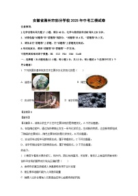 安徽省滁州市部分学校2025年中考三模化学试卷（解析版）